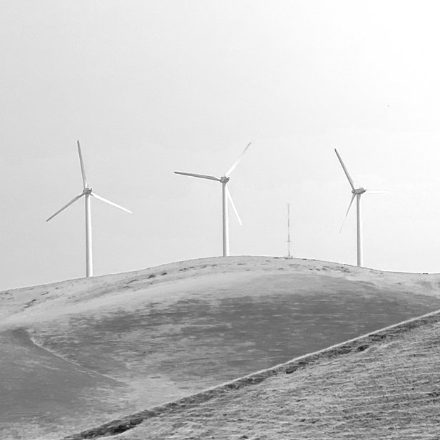 TIGITAL® 3D-Set Series TPP (Top Performance Polymers) stand out due to excellent UV resistance and high stiffness.